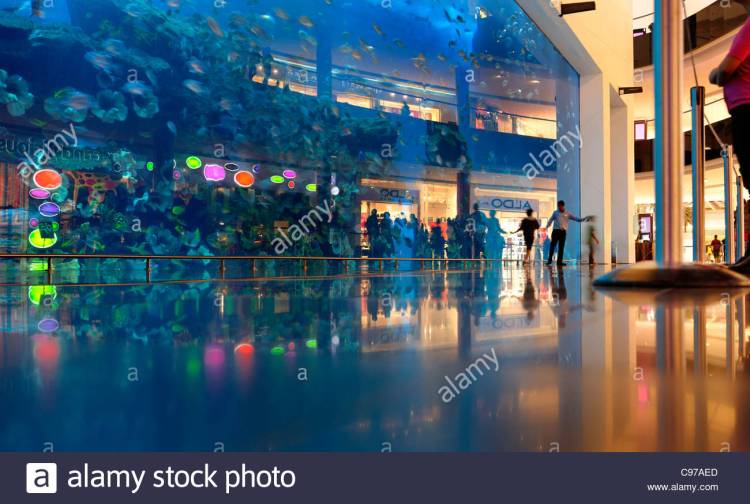 dubai-aquarium-and-underwater-zoo-saltwater-aquarium-in-dubai-mall-c97aed